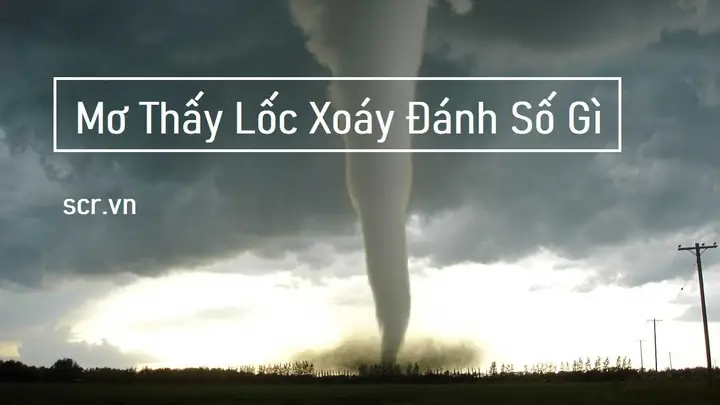 Giải Mã Giấc Mơ Thấy Nước Tiểu: Đánh Số Mấy Và Ý Nghĩa Điềm Báo Giải Mã Giấc Mơ Thấy Nước Tiểu: Đánh Số Mấy Và Ý Nghĩa Điềm Báo