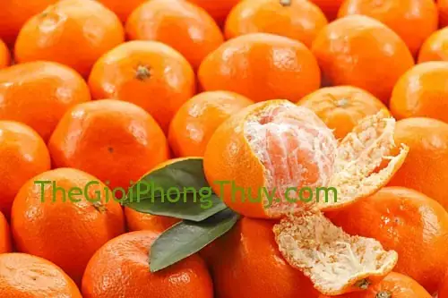 Mơ Thấy Quả Quýt: Đánh Con Số Nào Và Ý Nghĩa Chi Tiết Của Giấc Mơ Mơ Thấy Quả Quýt: Đánh Con Số Nào Và Ý Nghĩa Chi Tiết Của Giấc Mơ