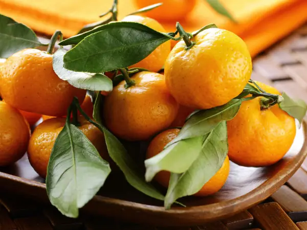 Mơ Thấy Quả Quýt: Đánh Con Số Nào Và Ý Nghĩa Chi Tiết Của Giấc Mơ Mơ Thấy Quả Quýt: Đánh Con Số Nào Và Ý Nghĩa Chi Tiết Của Giấc Mơ