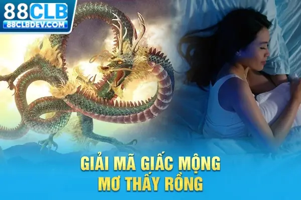 Mơ Thấy Rồng Bơi Dưới Nước Là Điềm Gì? Giải Mã Ý Nghĩa Tâm Linh Cho Người Mơ