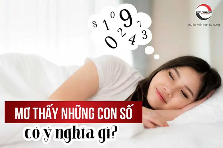 Mơ Thấy Số 35 Đánh Con Gì? Ý Nghĩa Giấc Mơ Và Các Con Số May Mắn Mơ Thấy Số 35 Đánh Con Gì? Ý Nghĩa Giấc Mơ Và Các Con Số May Mắn