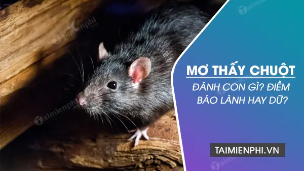 Mơ Thấy Sư Cô Đánh Con Gì? Ý Nghĩa, Điềm Báo & Con Số May Mắn