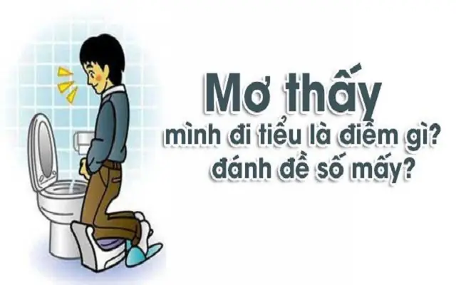 Giải Mã Mơ Thấy Tiểu Đánh Con Gì: Ý Nghĩa Điềm Báo Và Số Đề May Mắn