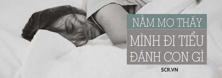Giải Mã Mơ Thấy Tiểu Đánh Con Gì: Ý Nghĩa Điềm Báo Và Số Đề May Mắn