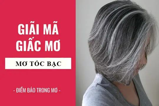Mơ Thấy Tóc Bạc Đánh Con Gì? Giải Mã Ý Nghĩa, Dự Đoán Và Số May Mắn Mơ Thấy Tóc Bạc Đánh Con Gì? Giải Mã Ý Nghĩa, Dự Đoán Và Số May Mắn