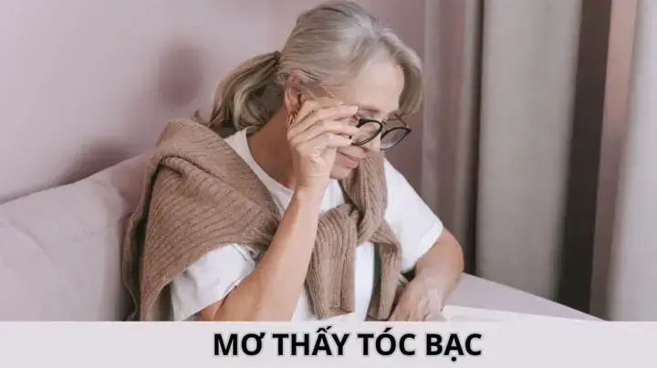 Mơ Thấy Tóc Bạc Đánh Con Gì? Giải Mã Ý Nghĩa, Dự Đoán Và Số May Mắn Mơ Thấy Tóc Bạc Đánh Con Gì? Giải Mã Ý Nghĩa, Dự Đoán Và Số May Mắn
