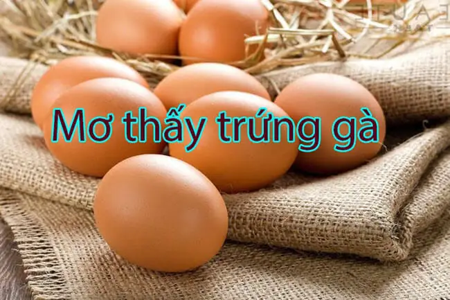 Giải Mã Giấc Mơ Thấy Trứng Vịt Lộn: Ý Nghĩa Điềm Báo Và Đánh Con Gì?