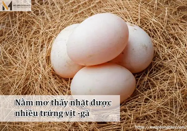 Giải Mã Giấc Mơ Thấy Trứng Vịt Lộn: Ý Nghĩa Điềm Báo Và Đánh Con Gì?
