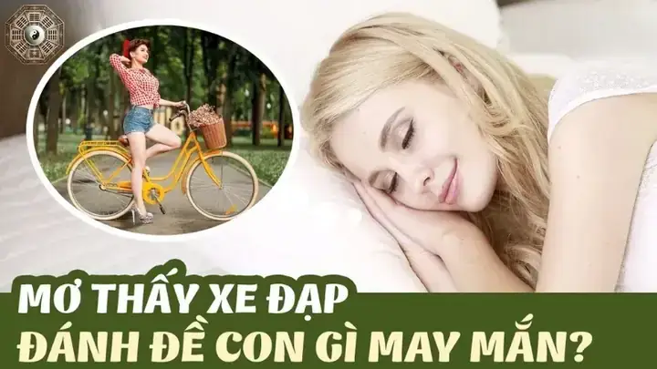 Giải Mã Giấc Mơ Thấy Xe Đạp Đánh Số May – Ý Nghĩa & Con Số May Mắn Giải Mã Giấc Mơ Thấy Xe Đạp Đánh Số May – Ý Nghĩa & Con Số May Mắn