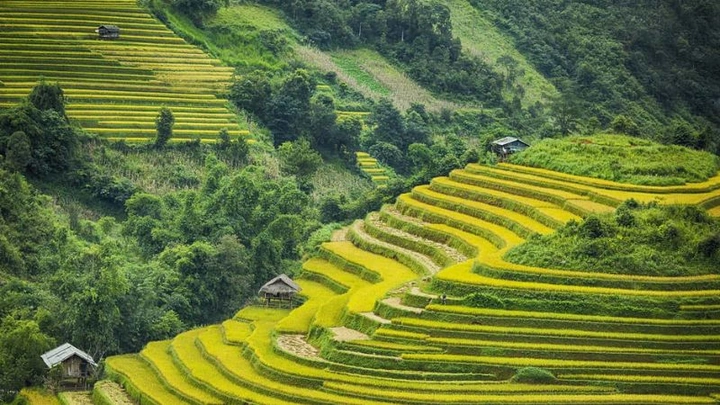 Tải Về 100+ Hình Ảnh Về Việt Nam Đẹp Nhất – Bộ Sưu Tập Dành Cho Người Yêu Du Lịch & Thiết Kế Tải Về 100+ Hình Ảnh Về Việt Nam Đẹp Nhất – Bộ Sưu Tập Dành Cho Người Yêu Du Lịch & Thiết Kế