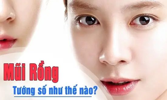 Giải Mã Tướng Mũi Rồng (long Tý): Đặc Điểm Nhận Diện, Ý Nghĩa Vận Mệnh Nam/nữ & Xu Hướng Thẩm Mỹ Giải Mã Tướng Mũi Rồng (long Tý): Đặc Điểm Nhận Diện, Ý Nghĩa Vận Mệnh Nam/nữ & Xu Hướng Thẩm Mỹ