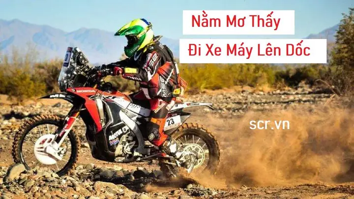 Nằm Mơ Đi Xe Máy Xuống Dốc: Ý Nghĩa, Dấu Hiệu Và Cách Giải Mã Nằm Mơ Đi Xe Máy Xuống Dốc: Ý Nghĩa, Dấu Hiệu Và Cách Giải Mã
