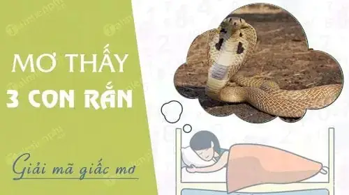 Giải Mã Giấc Mơ Thấy 3 Con Rắn Đen: Ý Nghĩa, Điềm Báo Và Con Số May Mắn Giải Mã Giấc Mơ Thấy 3 Con Rắn Đen: Ý Nghĩa, Điềm Báo Và Con Số May Mắn