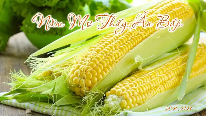 Giải Mã Giấc Mơ Thấy Ăn Bắp Luộc: Ý Nghĩa Điềm Báo Và Con Số May Mắn Giải Mã Giấc Mơ Thấy Ăn Bắp Luộc: Ý Nghĩa Điềm Báo Và Con Số May Mắn