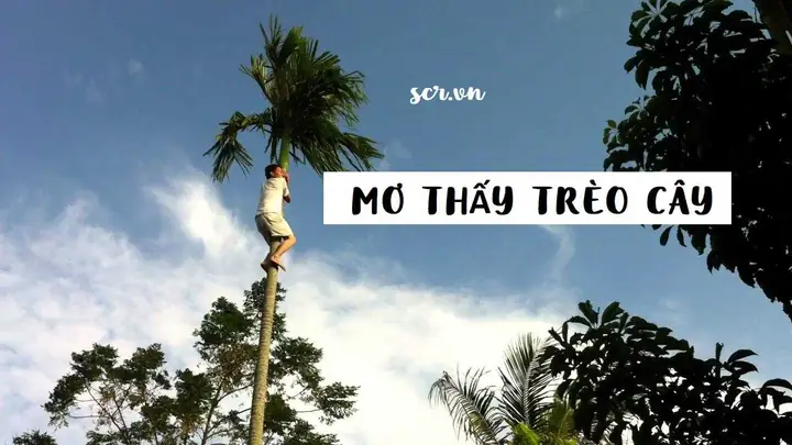 Giải Mã Giấc Mơ Thấy Ăn Bắp Luộc: Ý Nghĩa Điềm Báo Và Con Số May Mắn Giải Mã Giấc Mơ Thấy Ăn Bắp Luộc: Ý Nghĩa Điềm Báo Và Con Số May Mắn
