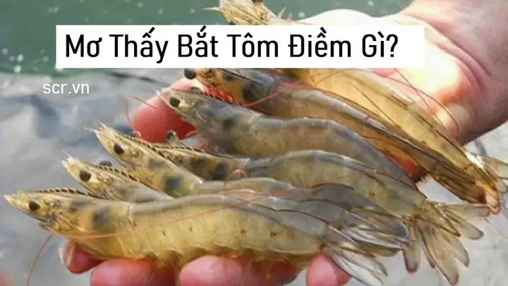 Giải Mã Giấc Mơ Nằm Mơ Thấy Bắt Cá Rô Đồng: Ý Nghĩa, Điềm Báo Và Con Số May Mắn Giải Mã Giấc Mơ Nằm Mơ Thấy Bắt Cá Rô Đồng: Ý Nghĩa, Điềm Báo Và Con Số May Mắn