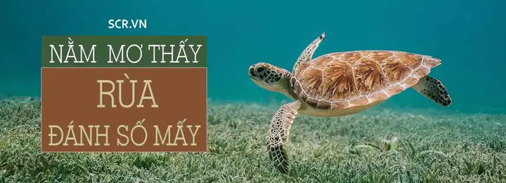 Giải Mã Giấc Mơ Nằm Mơ Thấy Bắt Cá Rô Đồng: Ý Nghĩa, Điềm Báo Và Con Số May Mắn Giải Mã Giấc Mơ Nằm Mơ Thấy Bắt Cá Rô Đồng: Ý Nghĩa, Điềm Báo Và Con Số May Mắn