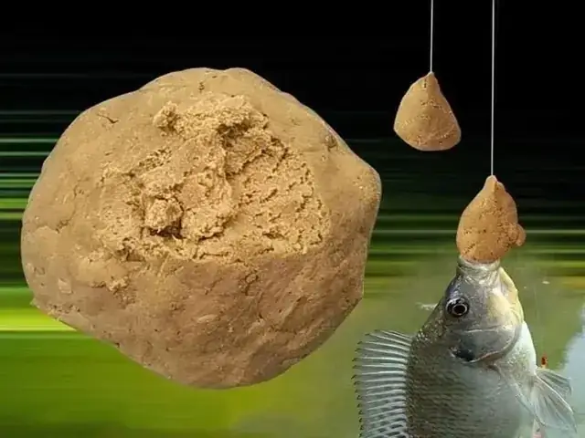 Giải Mã Giấc Mơ Nằm Mơ Thấy Bắt Cá Rô Đồng: Ý Nghĩa, Điềm Báo Và Con Số May Mắn Giải Mã Giấc Mơ Nằm Mơ Thấy Bắt Cá Rô Đồng: Ý Nghĩa, Điềm Báo Và Con Số May Mắn
