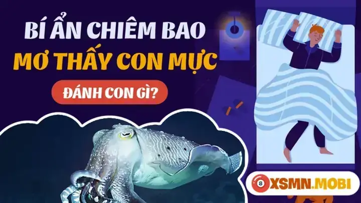 Giải Mã Ý Nghĩa Điềm Báo Và Con Số Lô Đề Của Giấc Mơ Nằm Mơ Thấy Bắt Mực Giải Mã Ý Nghĩa Điềm Báo Và Con Số Lô Đề Của Giấc Mơ Nằm Mơ Thấy Bắt Mực