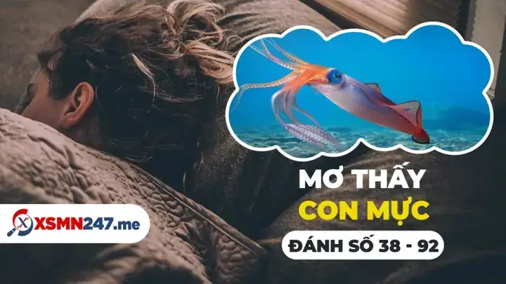 Giải Mã Ý Nghĩa Điềm Báo Và Con Số Lô Đề Của Giấc Mơ Nằm Mơ Thấy Bắt Mực Giải Mã Ý Nghĩa Điềm Báo Và Con Số Lô Đề Của Giấc Mơ Nằm Mơ Thấy Bắt Mực