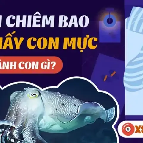 Giải Mã Ý Nghĩa Điềm Báo Và Con Số Lô Đề Của Giấc Mơ Nằm Mơ Thấy Bắt Mực Giải Mã Ý Nghĩa Điềm Báo Và Con Số Lô Đề Của Giấc Mơ Nằm Mơ Thấy Bắt Mực
