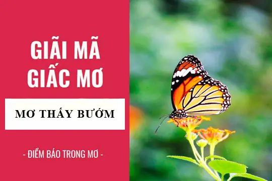Nằm Mơ Thấy Bướm Đậu Vào Người: Ý Nghĩa, Điềm Báo Và Cách Giải Mã