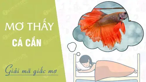 Giải Mã Ý Nghĩa Giấc Mơ Thấy Cá Cắn Chân: Điềm Báo Và Con Số Lô Đề Giải Mã Ý Nghĩa Giấc Mơ Thấy Cá Cắn Chân: Điềm Báo Và Con Số Lô Đề