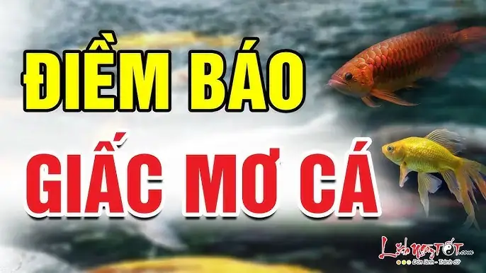 Giải Mã Ý Nghĩa Giấc Mơ Thấy Cá Cắn Chân: Điềm Báo Và Con Số Lô Đề Giải Mã Ý Nghĩa Giấc Mơ Thấy Cá Cắn Chân: Điềm Báo Và Con Số Lô Đề