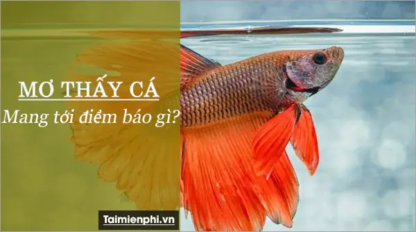 Nằm Mơ Thấy Cá: Các Con Số May Mắn Và Ý Nghĩa Chi Tiết