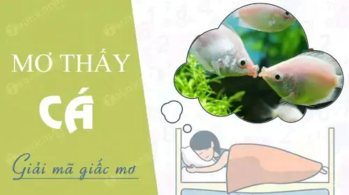 Nằm Mơ Thấy Cá: Các Con Số May Mắn Và Ý Nghĩa Chi Tiết