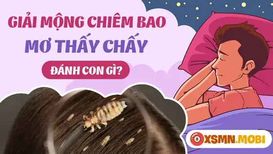 Nằm Mơ Thấy Chấy Rận Là Điềm Gì? Giải Mã Ý Nghĩa Và Con Số Lô Đề Nằm Mơ Thấy Chấy Rận Là Điềm Gì? Giải Mã Ý Nghĩa Và Con Số Lô Đề