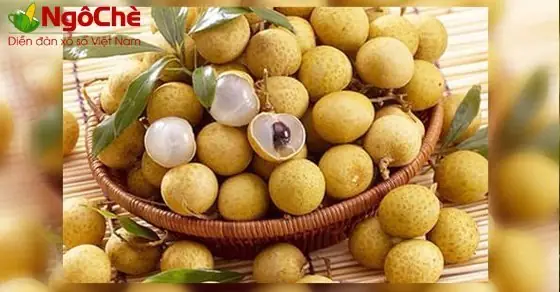 Giải Mã Nằm Mơ Thấy Chùm Nhãn: Ý Nghĩa Điềm Báo Và Con Số May Mắn Nên Đánh Giải Mã Nằm Mơ Thấy Chùm Nhãn: Ý Nghĩa Điềm Báo Và Con Số May Mắn Nên Đánh