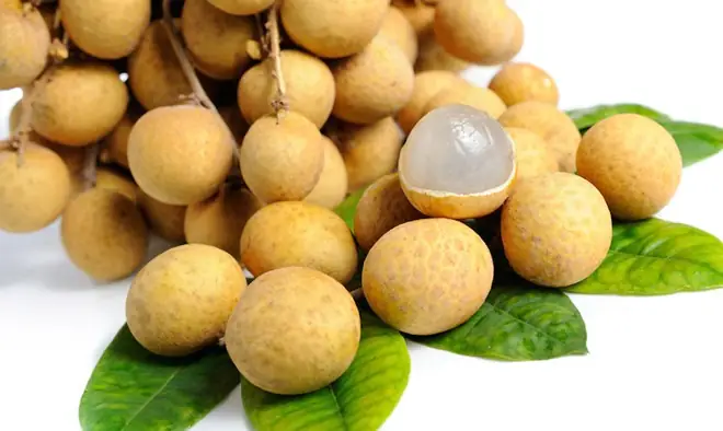 Giải Mã Nằm Mơ Thấy Chùm Nhãn: Ý Nghĩa Điềm Báo Và Con Số May Mắn Nên Đánh Giải Mã Nằm Mơ Thấy Chùm Nhãn: Ý Nghĩa Điềm Báo Và Con Số May Mắn Nên Đánh