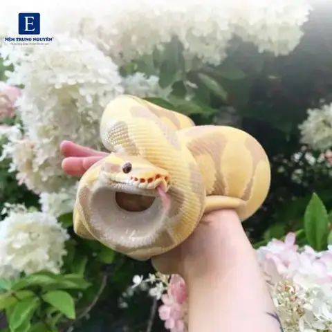 Giải Mã Giấc Mơ Thấy Con Gái Của Mình: Ý Nghĩa, Điềm Báo Và Con Số May Mắn Giải Mã Giấc Mơ Thấy Con Gái Của Mình: Ý Nghĩa, Điềm Báo Và Con Số May Mắn