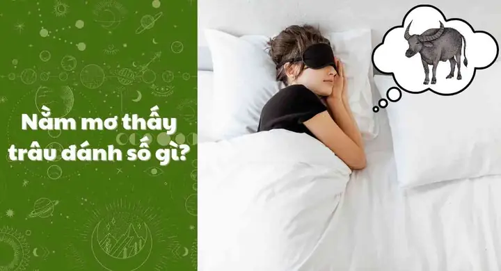 Giải Mã Giấc Mơ Thấy Con Trâu Đen: Điềm Báo Và Con Số May Mắn Giải Mã Giấc Mơ Thấy Con Trâu Đen: Điềm Báo Và Con Số May Mắn