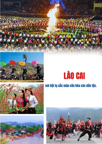 Giải Mã Giấc Mơ Nằm Mơ Thấy Đánh Bài Tứ Sắc: Ý Nghĩa Và Số May Mắn