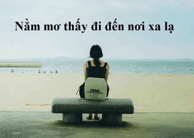 Giải Mã Giấc Mơ Thấy Đi Đâu Đó: Ý Nghĩa, Điềm Báo Và Con Số May Mắn