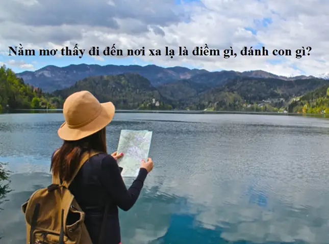 Giải Mã Giấc Mơ Thấy Đi Đâu Đó: Ý Nghĩa, Điềm Báo Và Con Số May Mắn