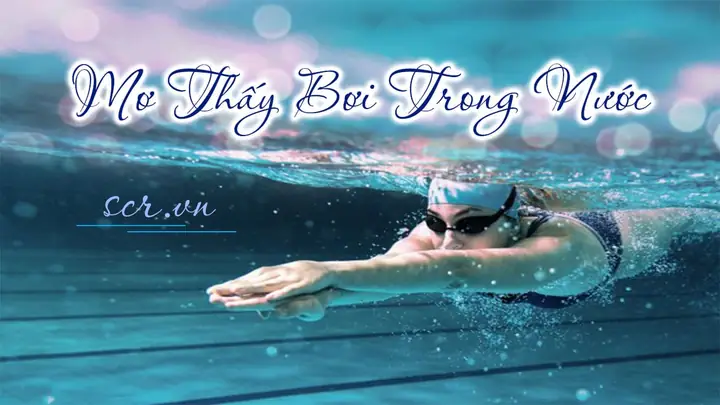 Nằm Mơ Thấy Đi Thuyền Trên Biển: Ý Nghĩa, Giải Thích Chi Tiết Và Con Số May Mắn