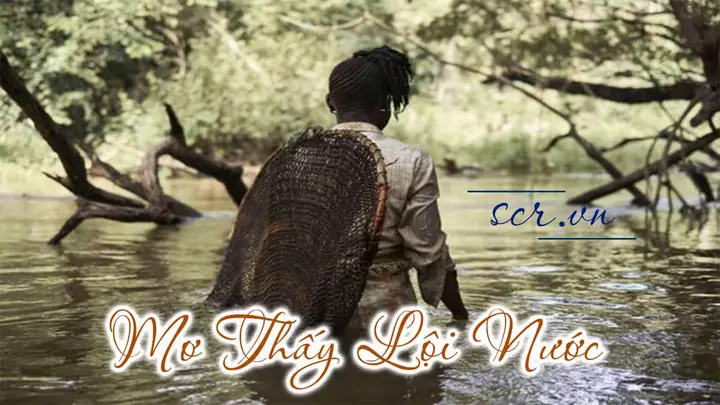 Nằm Mơ Thấy Đi Thuyền Trên Biển: Ý Nghĩa, Giải Thích Chi Tiết Và Con Số May Mắn