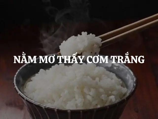 Giải Mã Ý Nghĩa Nằm Mơ Thấy Đi Xin Cơm: Điềm Báo Và Giải Thích Chi Tiết Giải Mã Ý Nghĩa Nằm Mơ Thấy Đi Xin Cơm: Điềm Báo Và Giải Thích Chi Tiết