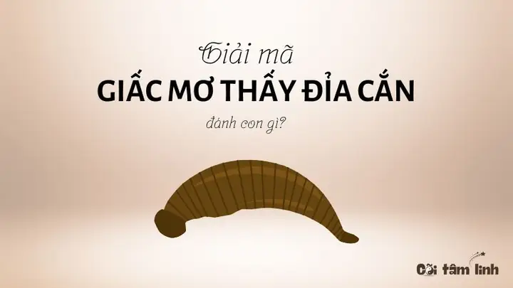 Giải Mã Giấc Mơ Thấy Đỉa Đánh Số Gì: Ý Nghĩa, Con Số May Mắn Và Cách Giải Thích Chi Tiết