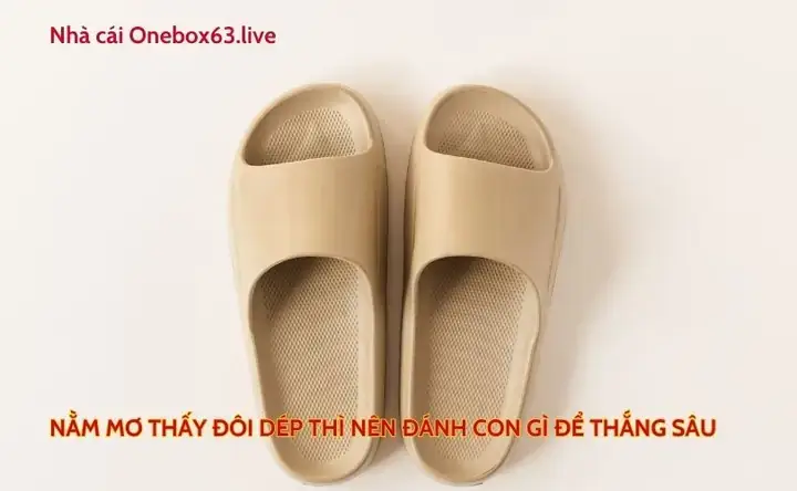 Giải Mã Ý Nghĩa Và Điềm Báo Nằm Mơ Thấy Giày Thể Thao: Thông Điệp Lối Sống Năng Động