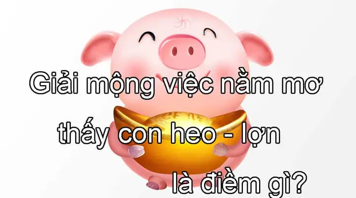 Giải Mã Giấc Mơ Thấy Heo Con: Ý Nghĩa Điềm Báo Và Con Số May Mắn Giải Mã Giấc Mơ Thấy Heo Con: Ý Nghĩa Điềm Báo Và Con Số May Mắn