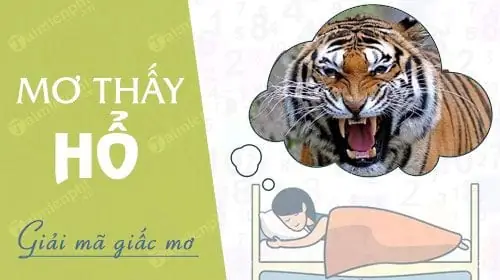 Nằm Mơ Thấy Hổ Đánh Con Gì? Số May Mắn Và Ý Nghĩa Chi Tiết Cho Người Mơ