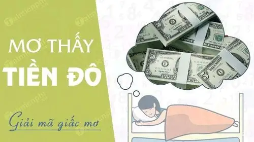 Nằm Mơ Thấy Lượm Được Tiền Đô: Ý Nghĩa, Dự Đoán Tài Lộc Và Con Số May Mắn