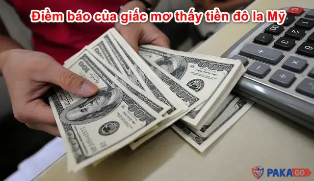 Nằm Mơ Thấy Lượm Được Tiền Đô: Ý Nghĩa, Dự Đoán Tài Lộc Và Con Số May Mắn