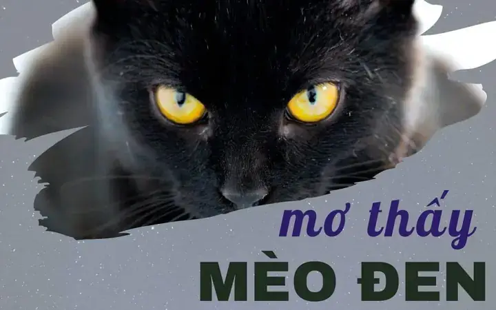Nằm Mơ Thấy Mèo Cắn Vào Tay: Ý Nghĩa, Dấu Hiệu Và Cách Giải Thích