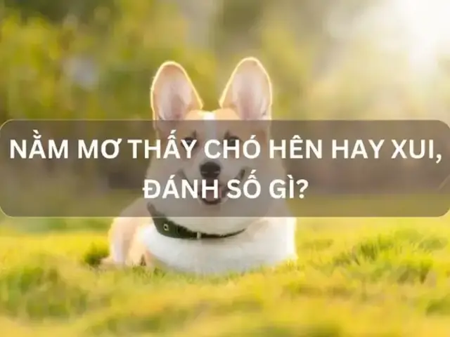 Giải Mã Giấc Mơ Thấy Mình Bị Cụt Chân: Ý Nghĩa, Nguyên Nhân Và Cách Xử Lý Giải Mã Giấc Mơ Thấy Mình Bị Cụt Chân: Ý Nghĩa, Nguyên Nhân Và Cách Xử Lý