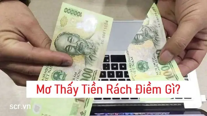 Giải Mã Giấc Mơ Thấy Mình Bị Lừa Tiền: Ý Nghĩa, Nguyên Nhân Và Cách Đối Phó Giải Mã Giấc Mơ Thấy Mình Bị Lừa Tiền: Ý Nghĩa, Nguyên Nhân Và Cách Đối Phó